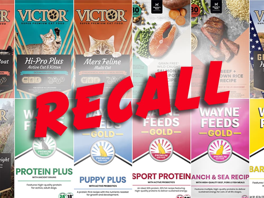 Pet Food Recalled After Cases of Salmonella Were Reported in 7 States