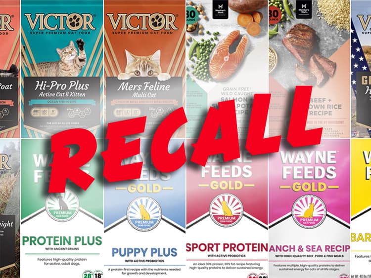 Pet Food Recalled After Cases of Salmonella Were Reported in 7 States