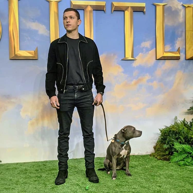 Tom Holland Pays Tribute to His “Lady”—His Late Dog, Tessa