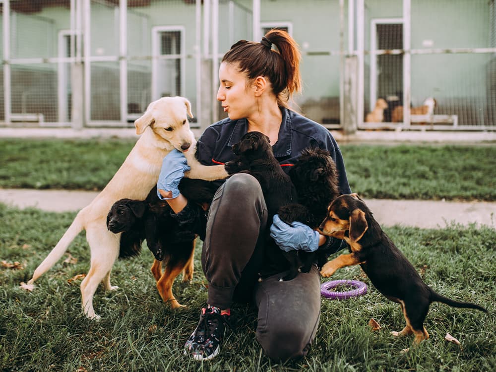10 Ways Animal Shelters Are Upping Their Game