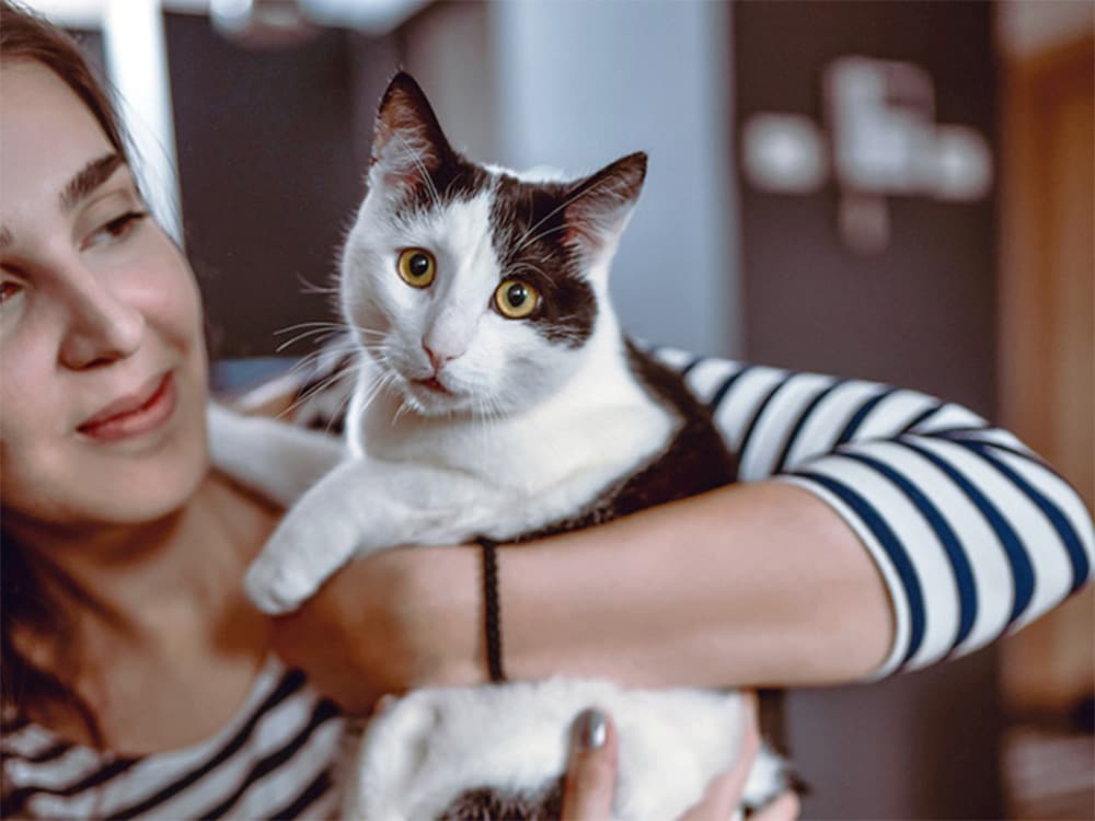 Woman holding her scared cat in her arms.