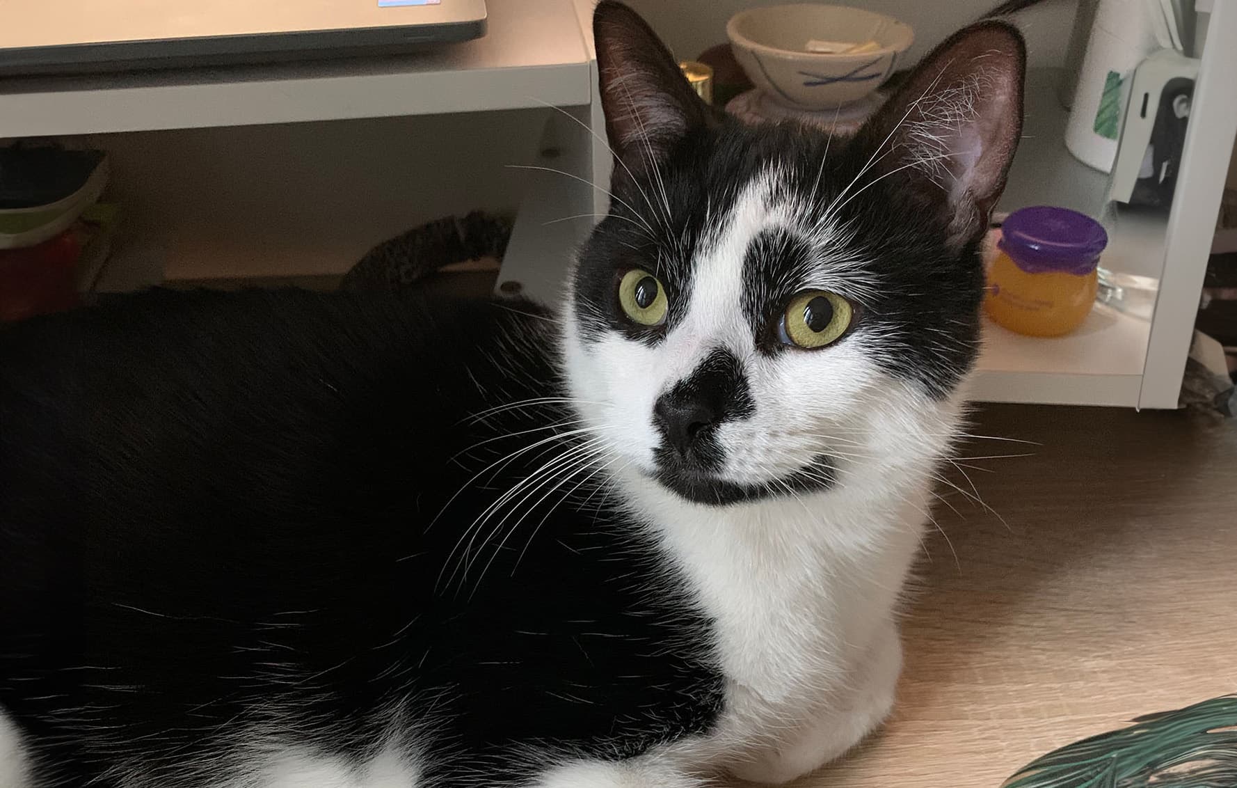 Unsure About Adopting, I Tried Fostering First