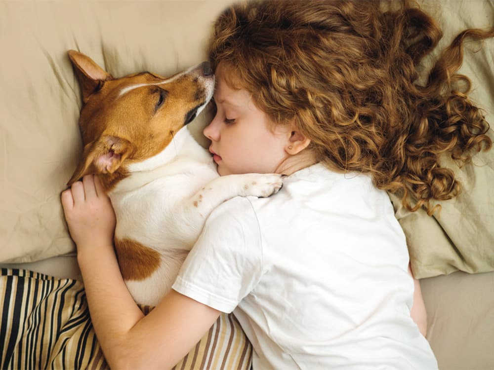 Dogs Improve the Sleep Habits of Children With Autism, New Study Finds