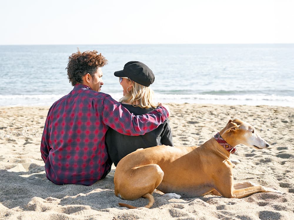 8 Signs Your Dog Is an Introvert