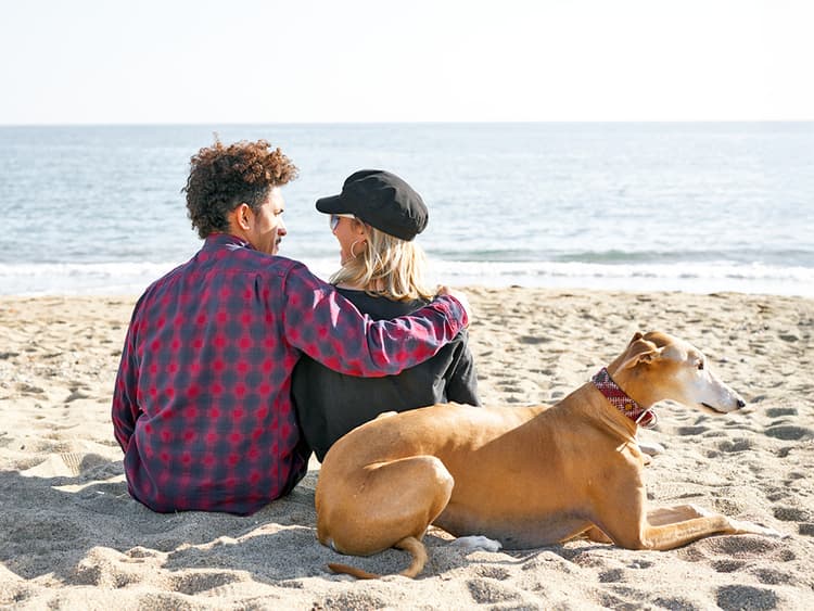 8 Signs Your Dog Is an Introvert