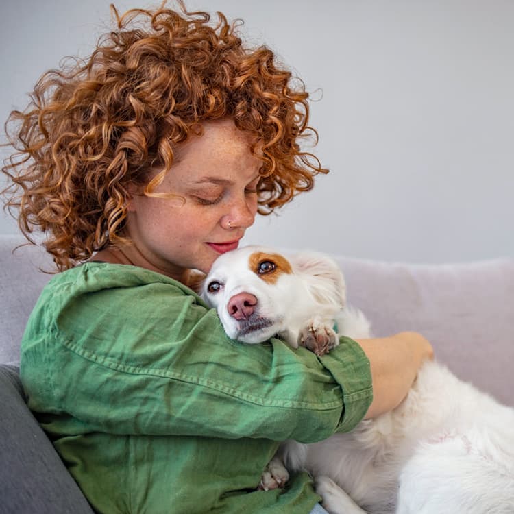 How to Tell If Your Dog Is Sick