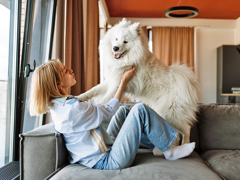 8 Fun Ways to Keep Your Dog Entertained Indoors When It’s Freezing Outside