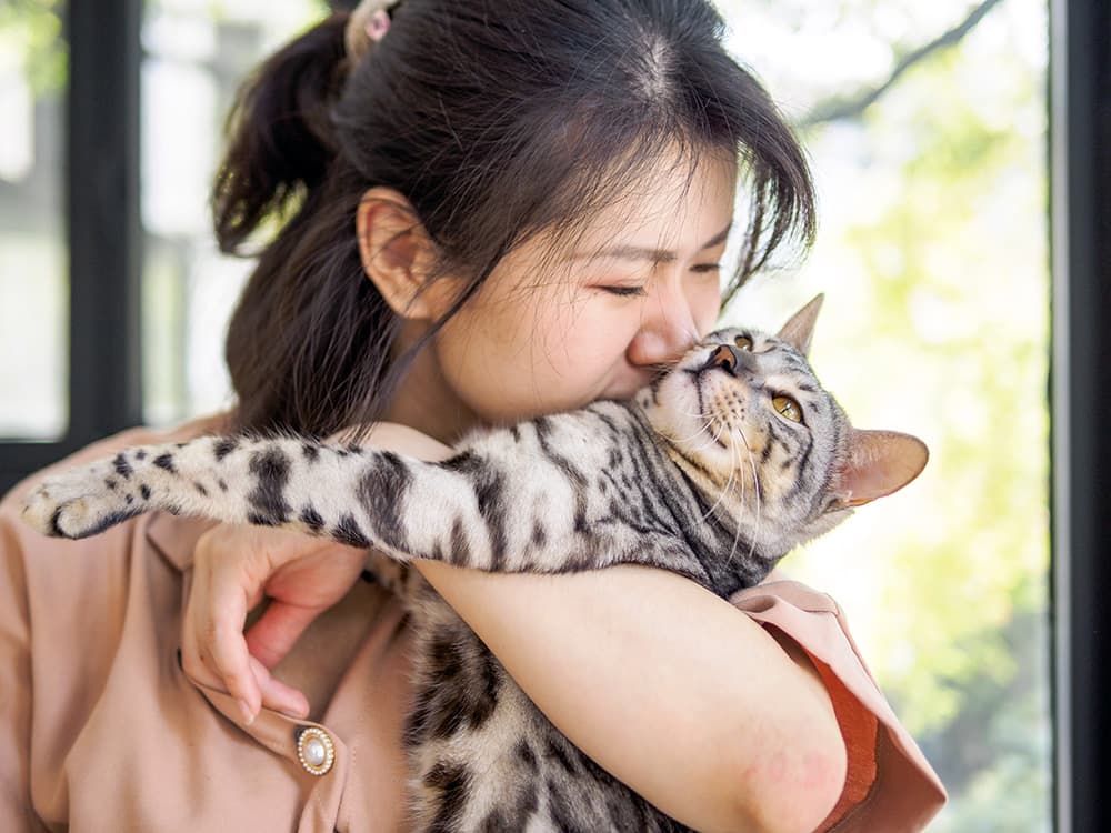 8 Reasons Why Your Cat Doesn’t Like Being Held—and What to Do About It