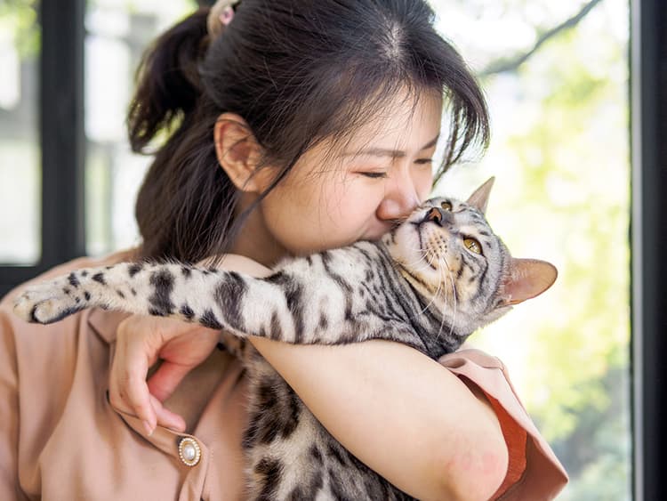 8 Reasons Why Your Cat Doesn’t Like Being Held—and What to Do About It