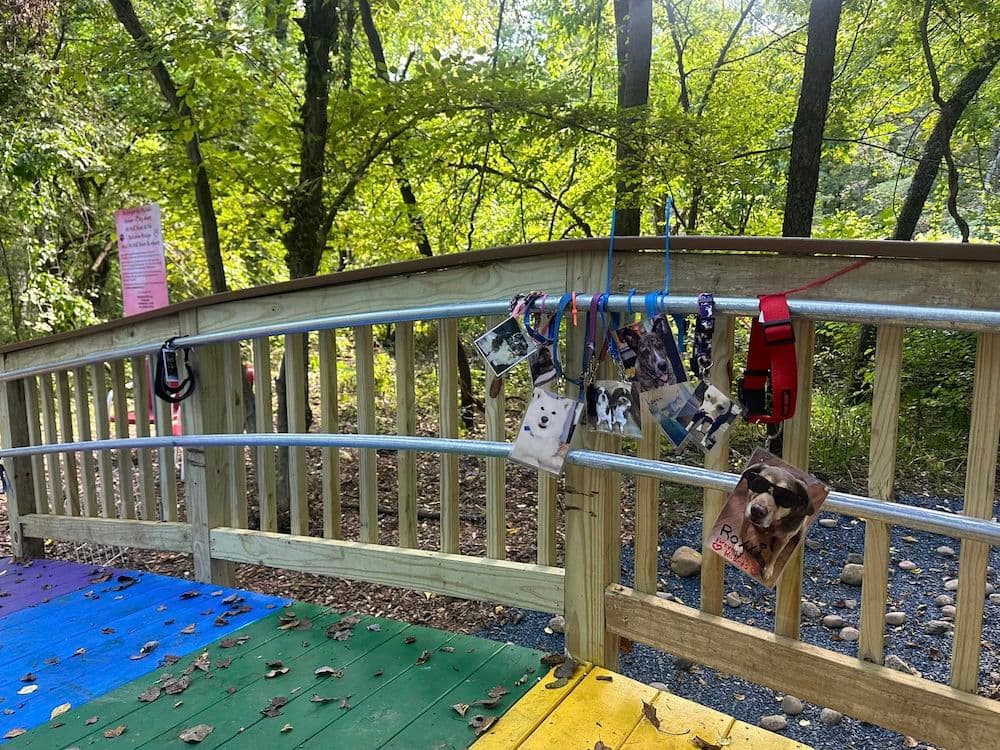 This Rainbow Bridge Pet Memorial Gives Pet Parents a Place to Grieve