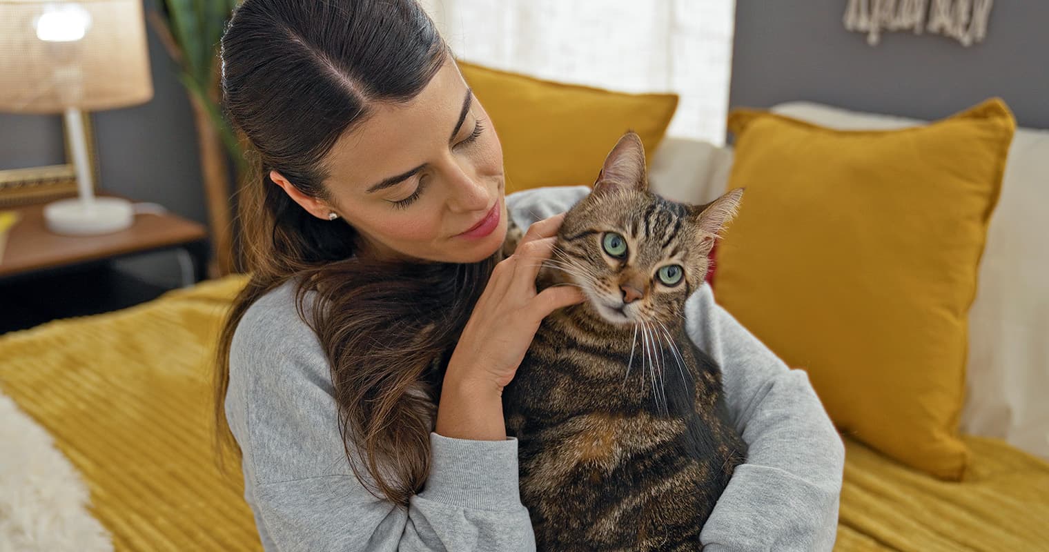 Common Cat Rehoming Reasons: When It’s the Right Decision