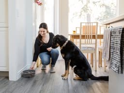 Wholesome Homemade Dog Food Recipes: Vet-Approved Starter Recipe