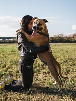 7 Myths Harmful to Pit Bulls—Debunked