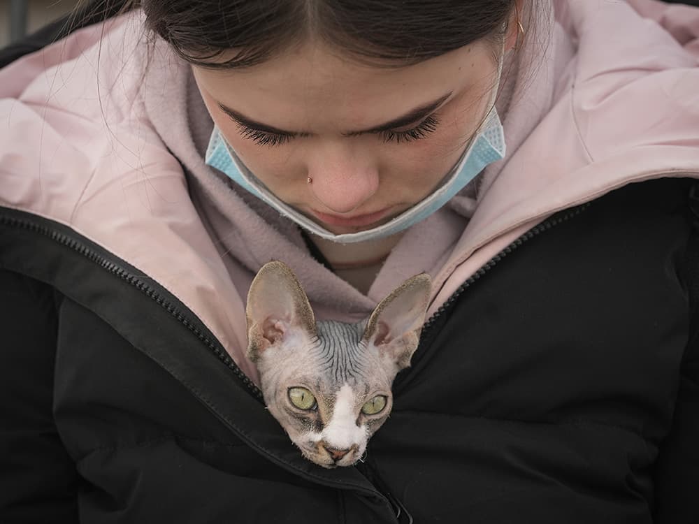 Meet the Photographer Documenting Pets at the Ukraine Border