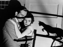The Bewitching History of Black Cats and Halloween