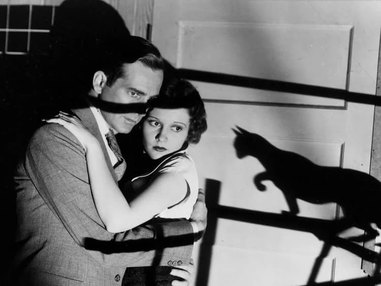 The Bewitching History of Black Cats and Halloween