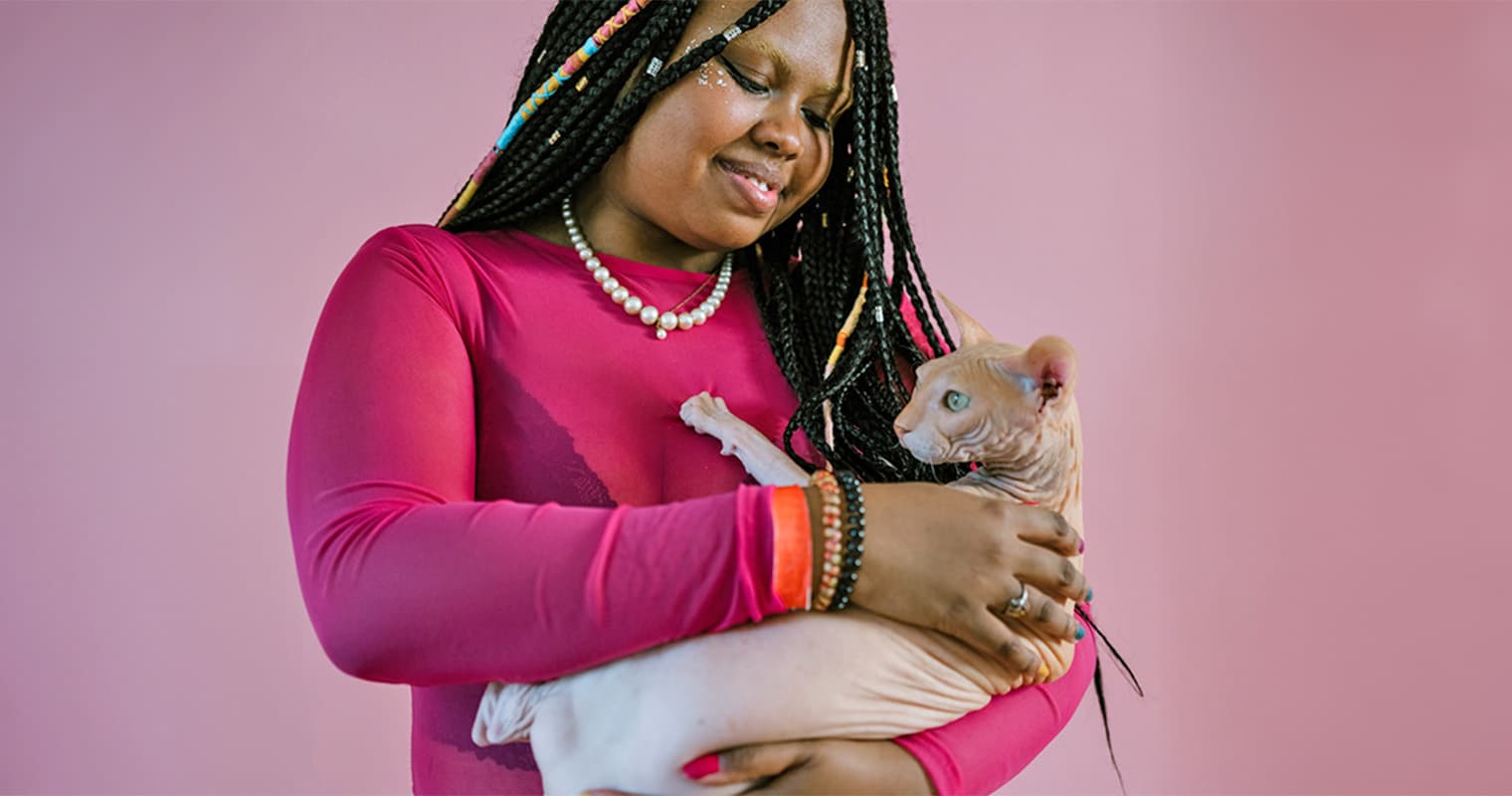 200+ Hairless Cat Names for Your Bold and Bald Feline