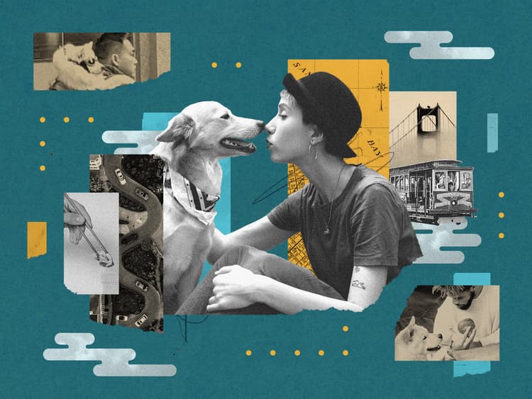 Catch a Cable Car and Hang at These Pup-Friendly San Francisco Spots