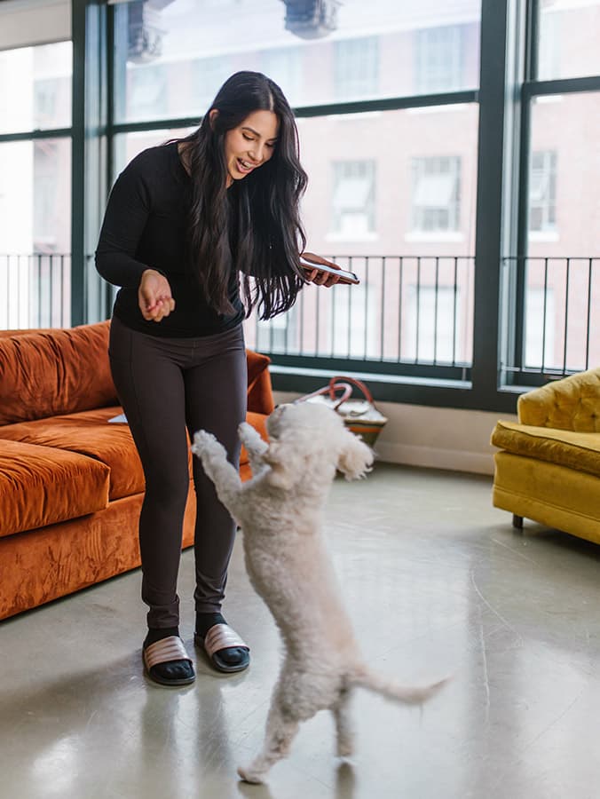 Looking for Things to Do with Your Dog at Home? Try These 7 Activities