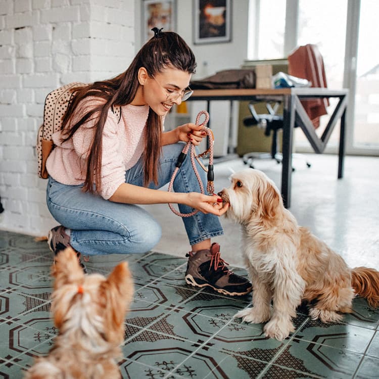 How to Potty Train a Puppy in an Apartment