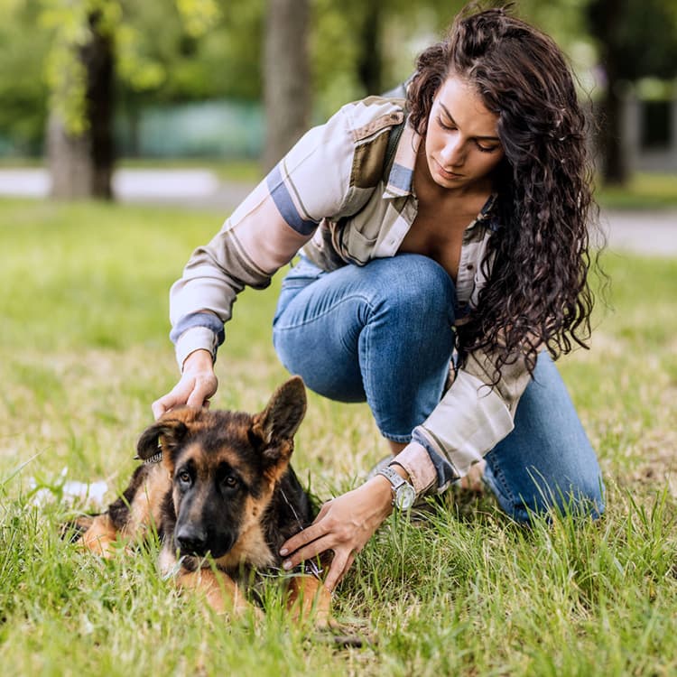 My Dog Is Pooping Blood: What Should I Do?