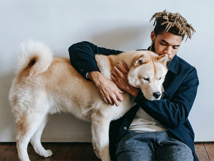 How to Navigate Tough Decisions About Your Pet