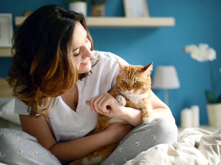 People Are Bad at Knowing When Their Cats Are Pissed, New Study Says