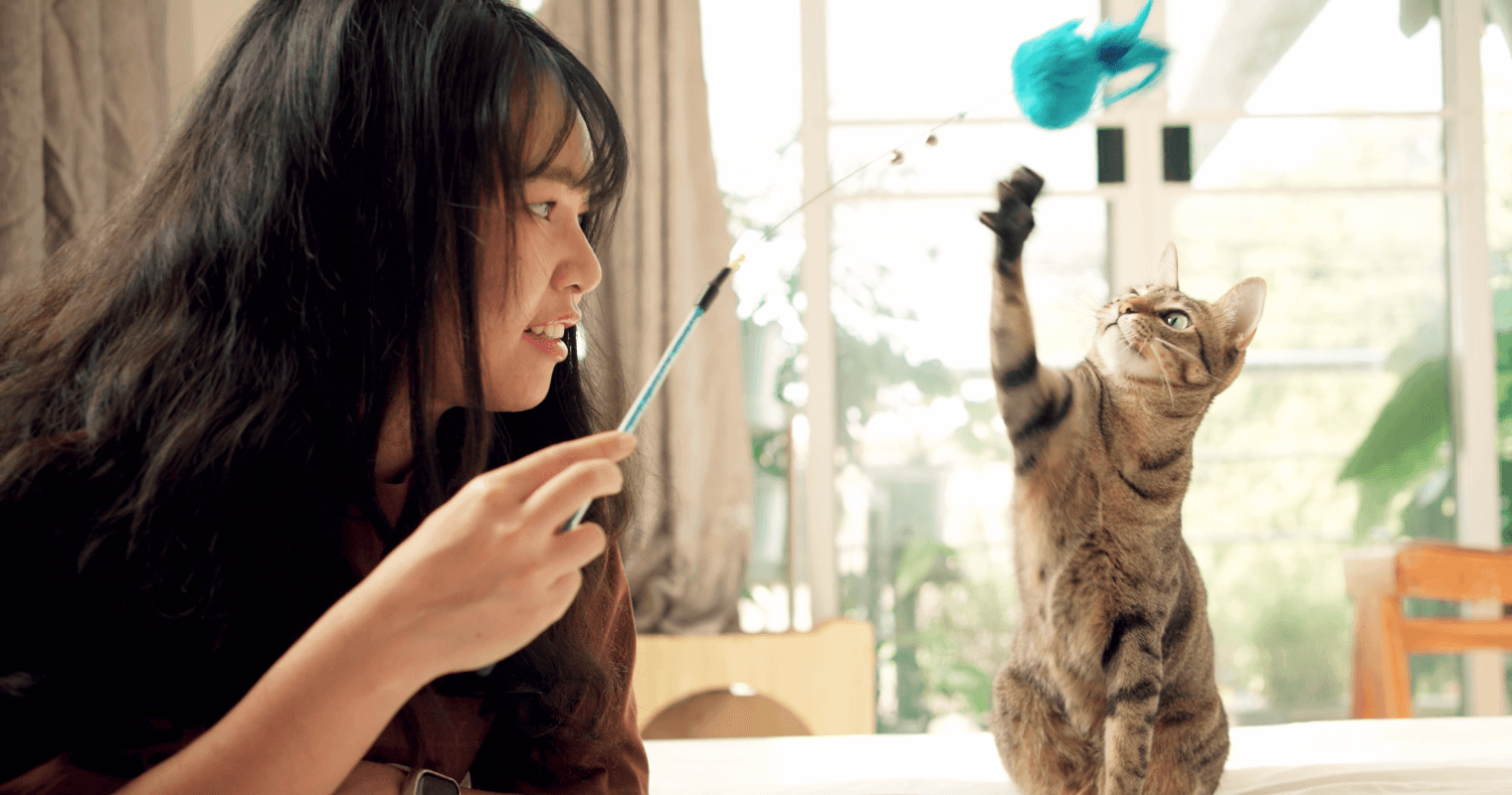woman and cat playing with toy