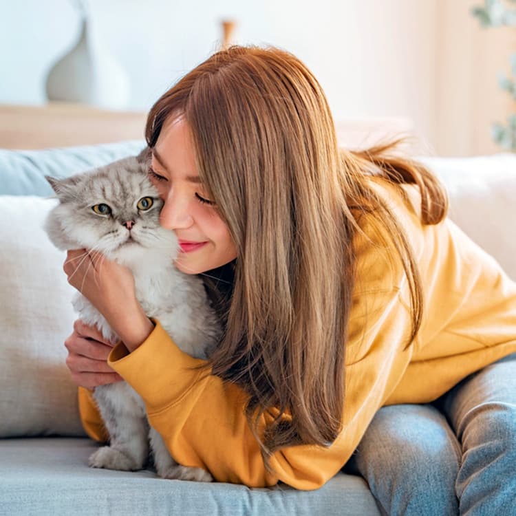 10 Beautiful Long-Haired Cat Breeds You’ll Love