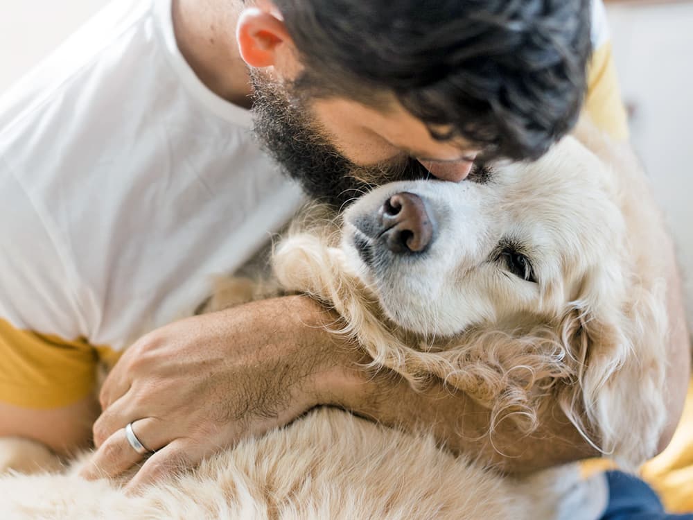 Neurological Disorders in Dogs