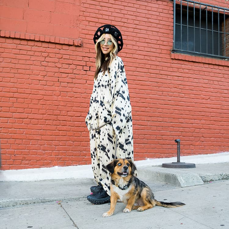 If Tokimonsta Ever Wants a Career Outside of Music, She Could Be a PR Rep For Pets