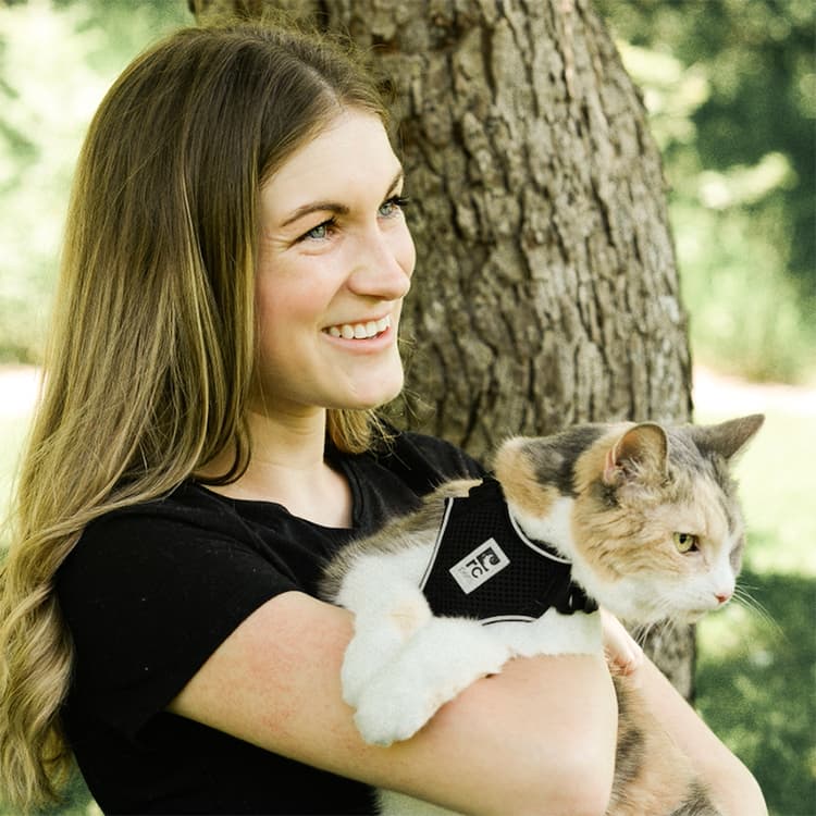 How a Grumpy Old Cat Is Winning the Internet for a Good Cause