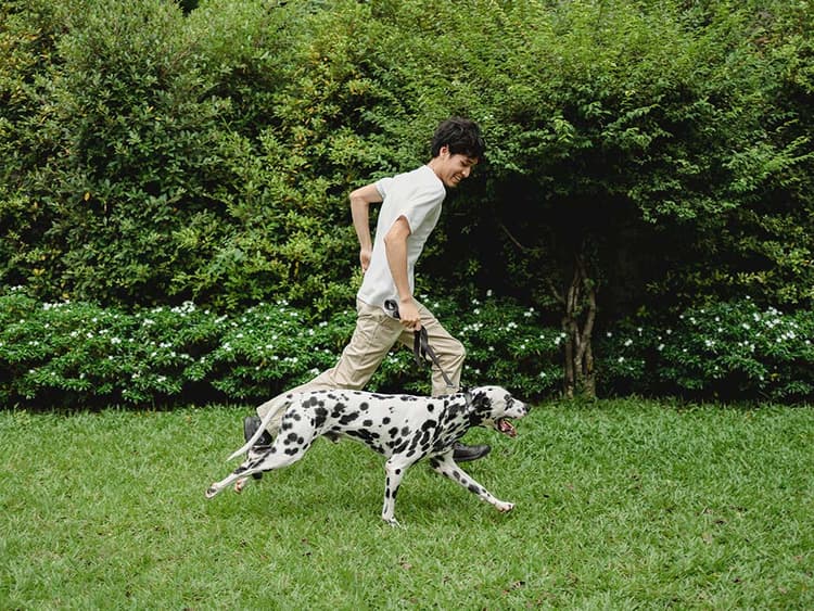 An Active Dog Is a Well-Behaved Dog