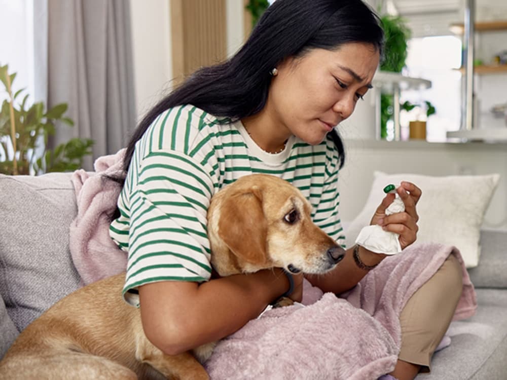 How to Take Your Dog’s Temperature at Home