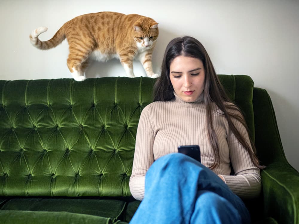 Yes, It’s True: Study Says Cats Love People Who Don’t Like Cats
