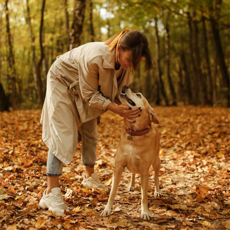 Pup Prep: Autumn To Do List
