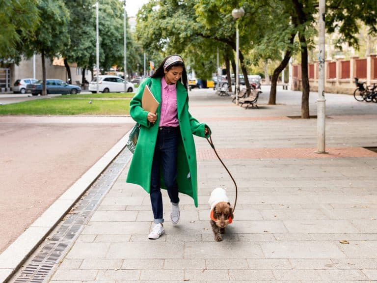 10 Best Dog Breeds for First-Time Dog Parents