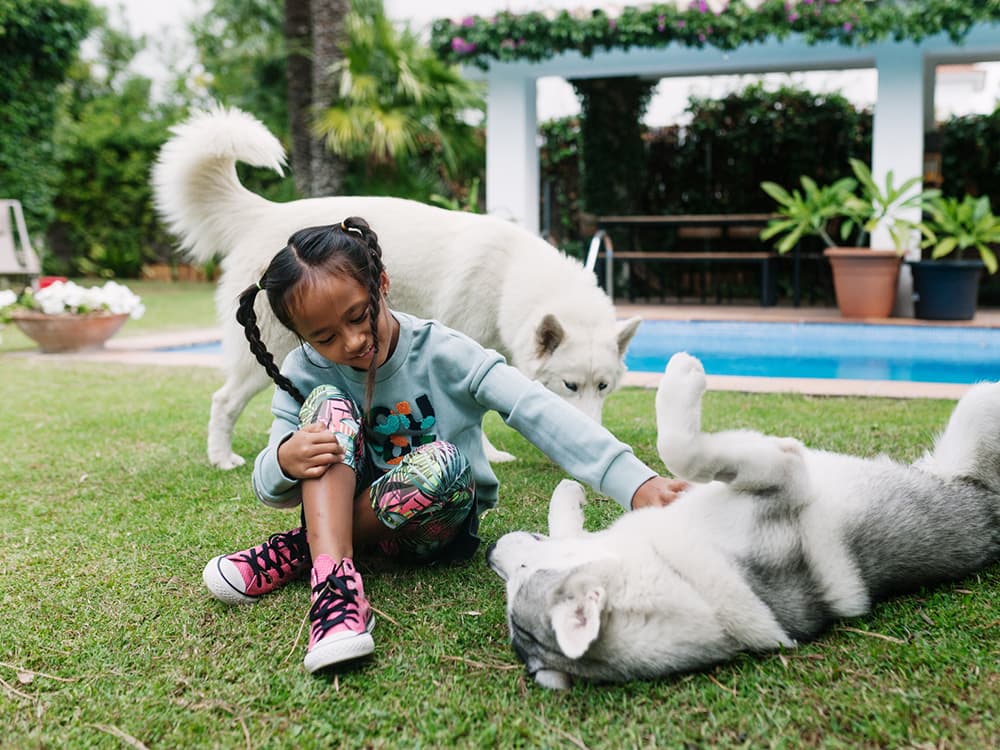 Go Figure, Pets Are the Best Defense Against Kids’ Allergies