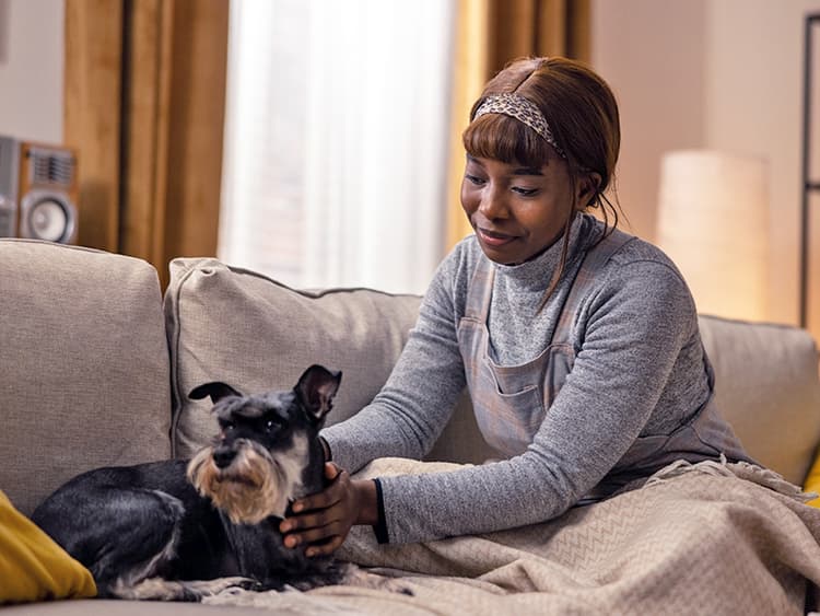 How to Treat a Bladder Infection in Dogs