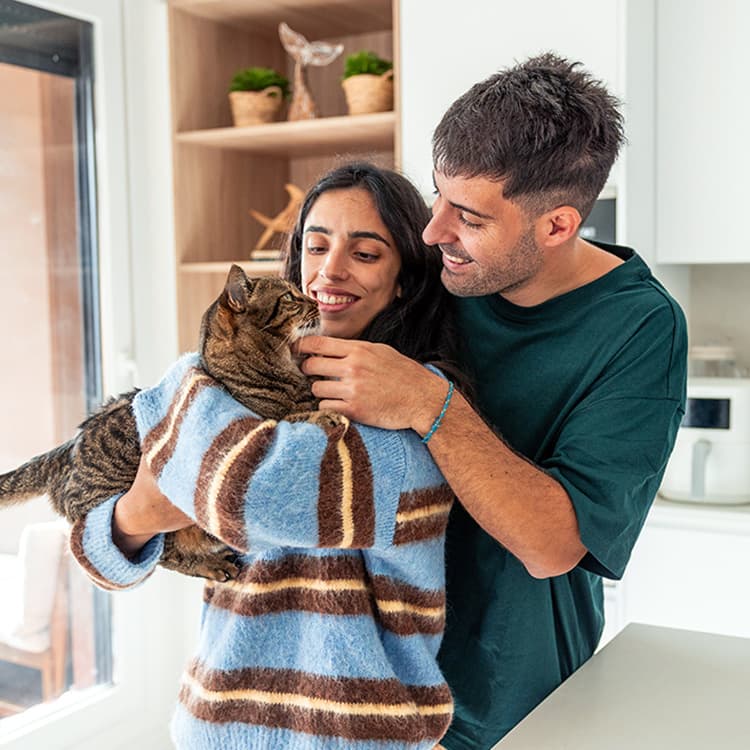 7 Signs Your New Cat Is Adjusting to a New Home