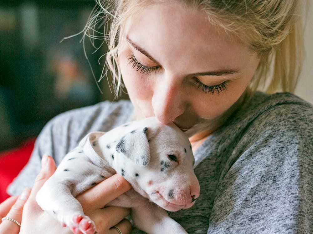 Best Dewormer for Puppies