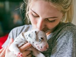 Best Dewormer for Puppies