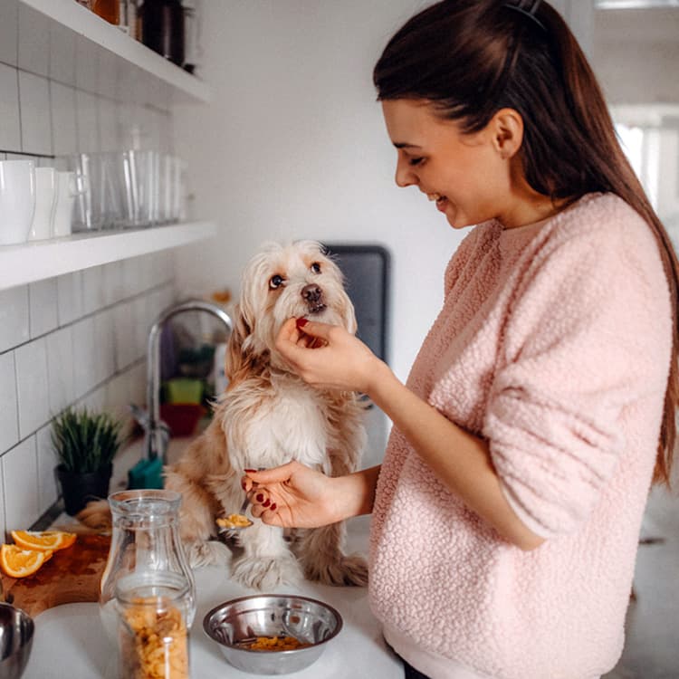 Best Food for Dogs With Allergies