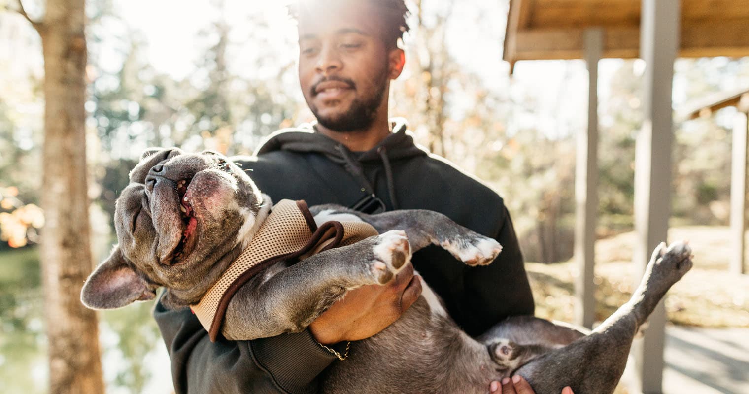 250+ Popular and Fun French Bulldog Names
