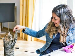 How to Train a Kitten