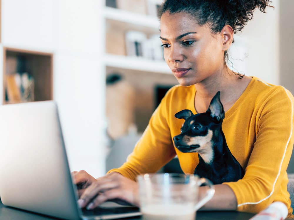 6 Ways You Can Write Off Your Pet This Tax Season