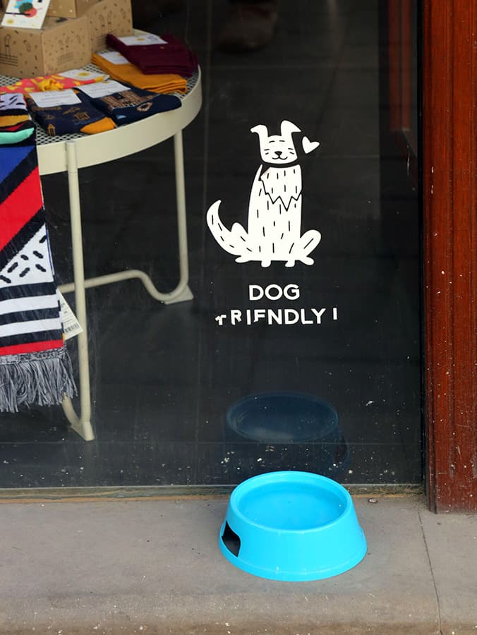 Should You Let Your Dog Drink Out of a Public Water Bowl?