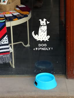 Should You Let Your Dog Drink Out of a Public Water Bowl?