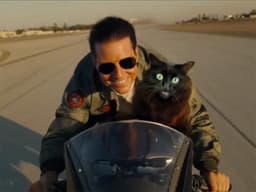 OwlKitty Is the Star of Your Favorite Oscar-Winning Films