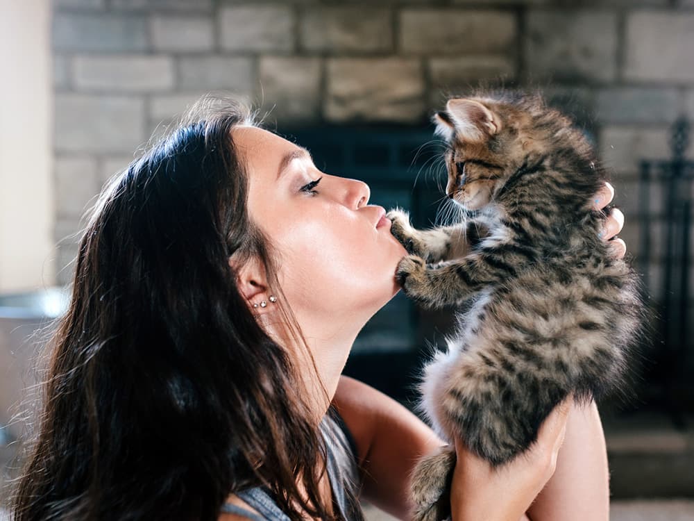 8 Myths About Your Kitten—Busted By a Behaviorist
